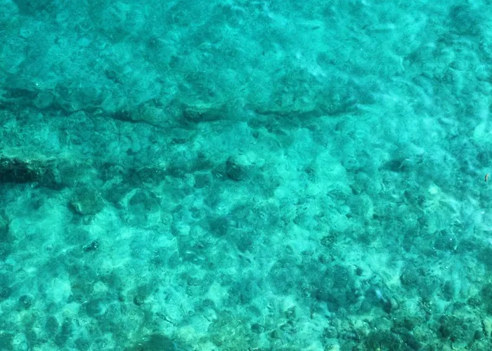 Amfora Maris Σπλιτ