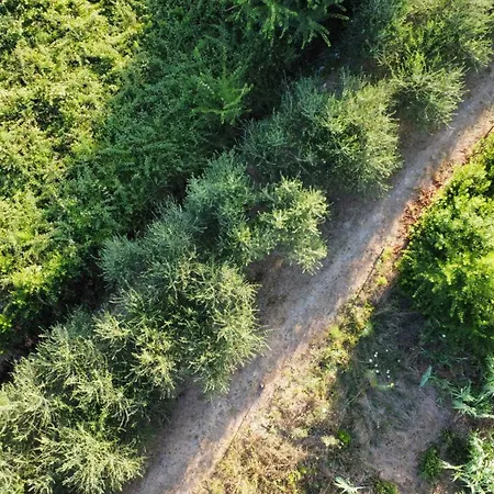 Amfora Maris * Split