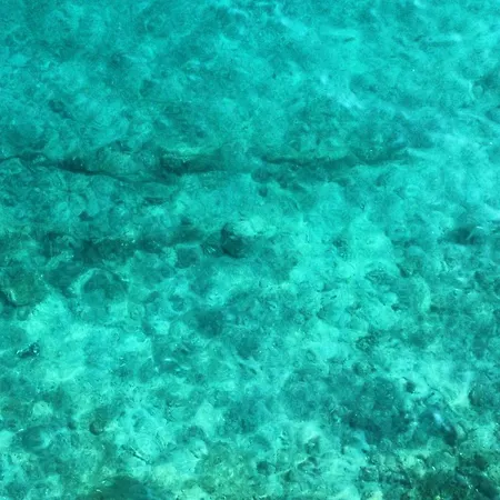 Amfora Maris ספליט